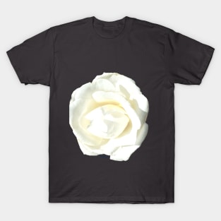 White Rose T-Shirt